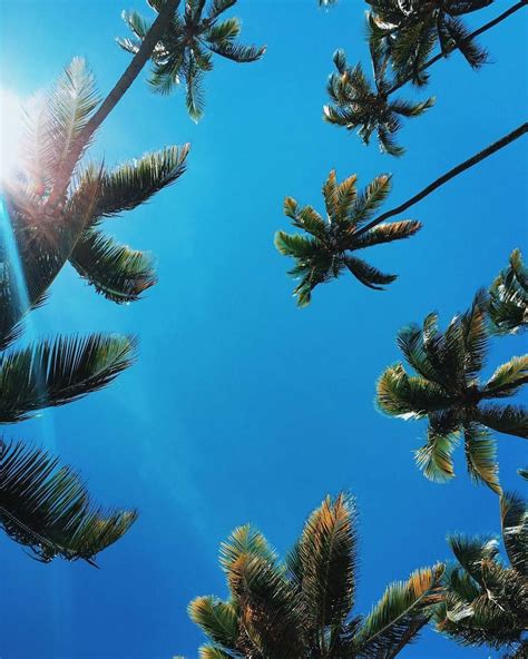 Alohacoast Tumblr Ocean Blue Coast Sun Beach Blue Sky Photography Beach Aesthetic