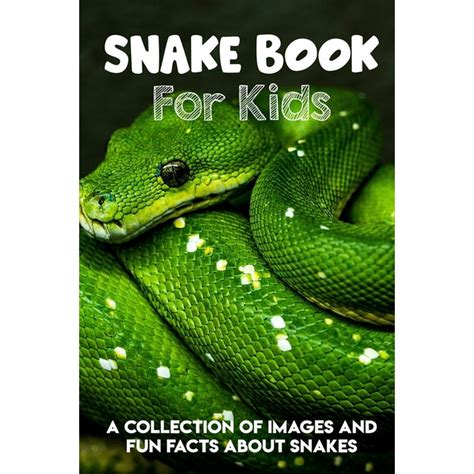 Snake Book For Kids A Collection Of Images And Fun Facts About Snakes