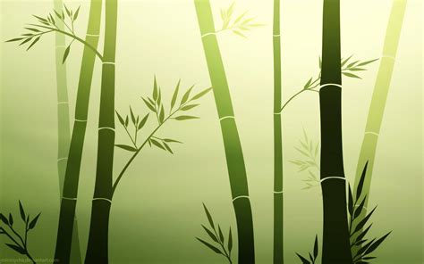 Cập nhật với hơn 64 về hình nền bamboo trieuson5