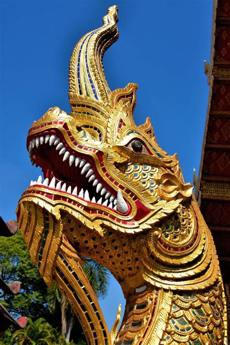 Phaya Naga At Wat Phra Singh In Chiang Mai Thailand Encircle Photos