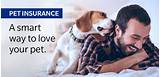 Pictures of Find Cheapest Pet Insurance