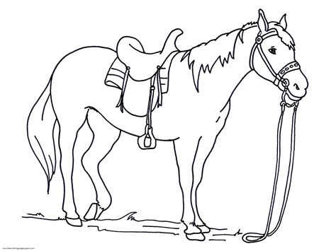 This horse coloring pages realistic will make your globe much more vibrant. Realistic horse coloring pages to download and print for free