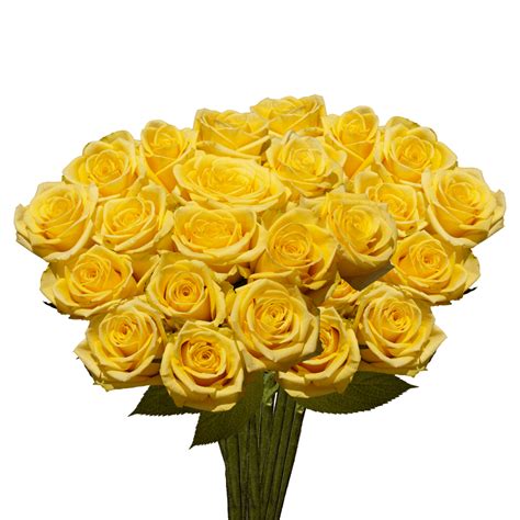Long Stem Bulk Yellow Roses | GlobalRose