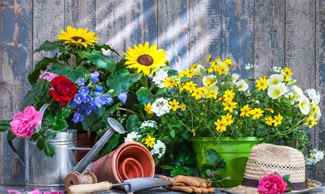 Maybe you would like to learn more about one of these? Garten im August: Das ist jetzt zu tun - DAS HAUS