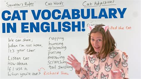 Learn English Vocabulary Cats 🐱 🐈 Youtube