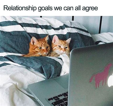 Relatable Relationship Memes That Are Funny Enough To Freshen Up Your Day ZestVine