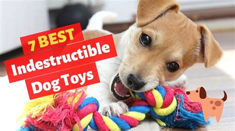 7 Best Tough Indestructible Dog Toys For Heavy Chewers Toys For Heavy