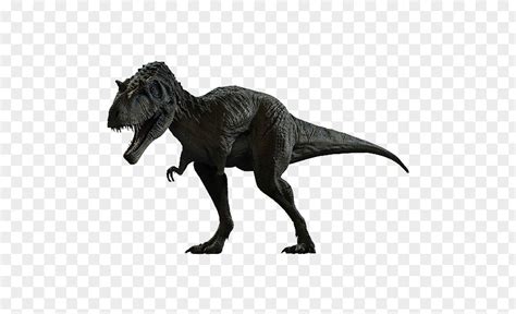 Dinosaur Albertosaurus Utahraptor Deinonychus Velociraptor Spinosaurus Png Image Pnghero