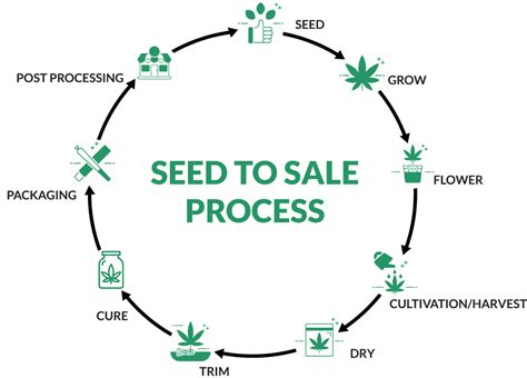 What Is Seed To Sale Nugistics