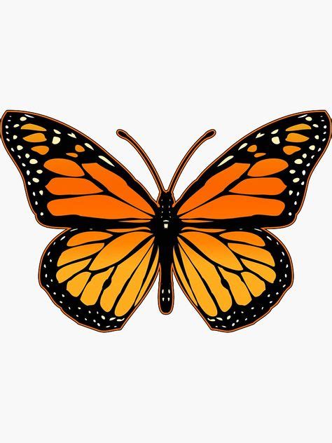 41 Mejores Imágenes De Mariposa Monarca Mariposa Monarca