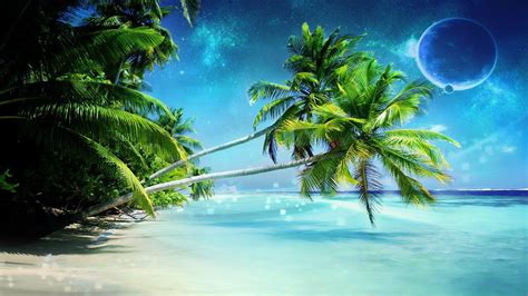 Tropical Palm Tree Wallpaper 56 Images