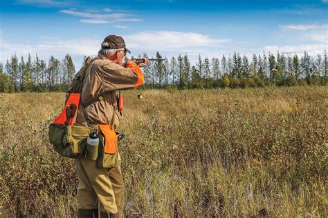 Bird Hunting State Spotlight Alaska Gun Dog