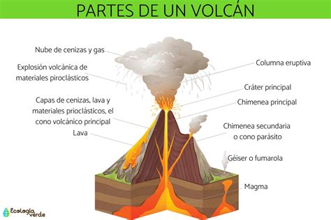Cómo Se Forman Los Volcanes Resumen Del Proceso De Formación Volcánica
