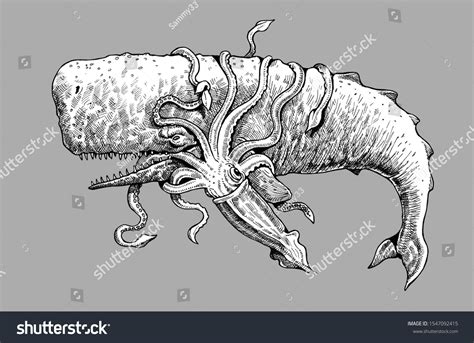 battle between sperm whale giant squid stock illustration 1547092415 shutterstock