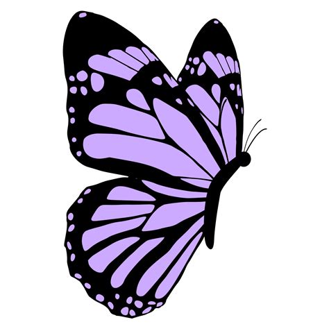 Flying Purple Butterfly 24134719 Png