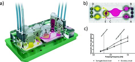 A Four Organ Chip For Interconnected Long Term Co Culture Of Human