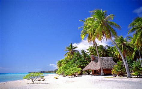 Nature Landscape Cabin Tropical Beach Sea Palm Trees Sand Summer Vacations Wallpapers