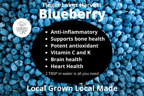 Blueberry Shrub Finger Lakes Harvest