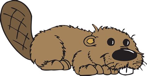 Free vector graphic: Beaver, Animal, Tail, Teeth - Free Image on