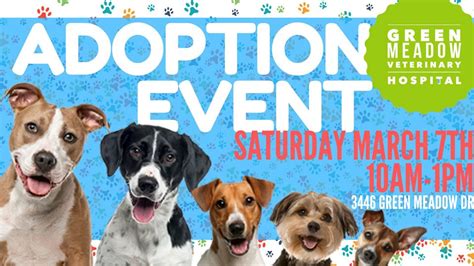 Visit petsmart's everyday dog or cat adoption centers or, at select locations, adopt a variety of small pets or reptiles. Pet Adoption Event