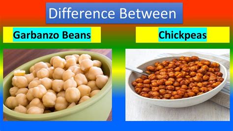 Difference Between Garbanzo Beans And Chickpeas Youtube