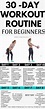 Best 30 Day Workout Plan for Beginners at Home (PDF) | Workout routines ...