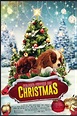 Le film Project: Puppies for Christmas