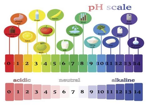 Ph Balance How An Unbalanced Ph Affects The Body Chemical Peel Alkaline Diet Alkaline