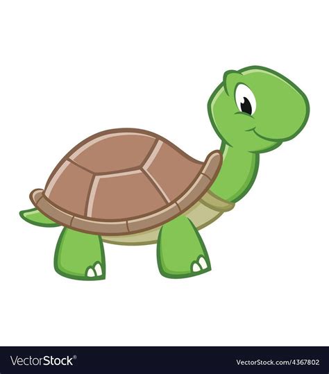 Pin On Turtle