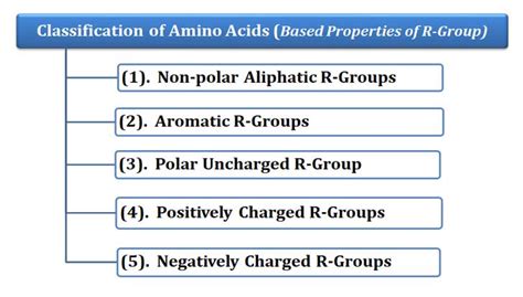 Classification Of Amino Acids In Biochemistry Easybiologyclass
