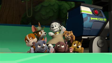 rocky gallery pups save the maze explorers paw patrol pups pup paw patrol