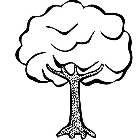 Tree Clipart Black And White No Leaves ~ Black And White Vector Line