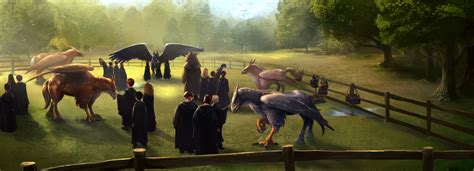 Care Of Magical Creatures Harry Potter Wiki Fandom Powered By Wikia