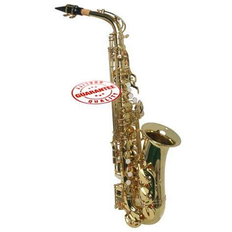 Hawk Student Gold Lacquered Alto Saxophone With Case Mouthpiece And