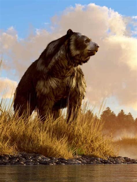 Discover 5 Extinct Types Of Bears A Z Animals
