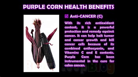 The Health Benefits Of Purple Corn Youtube