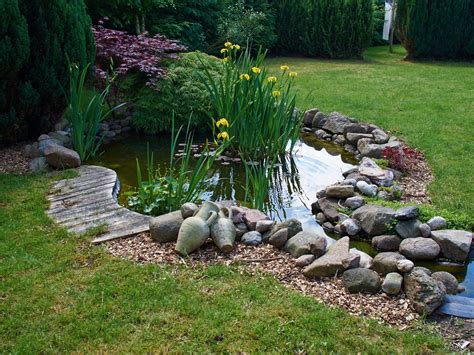 Building A Koi Pond Your Step By Step Guide The Goodhart Group