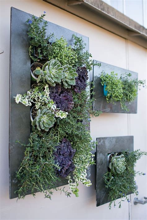Brilliant Succulent Wall Planter Outdoor Hanging Vine Indoor Plants