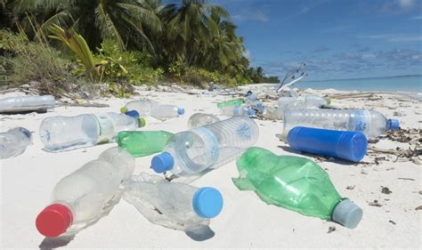 Destinan Us 1000 Millones Para Eliminar Los Desechos Plásticos