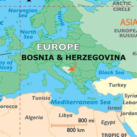 Bosnia Export Canvas Visualize Your Export Ambitions