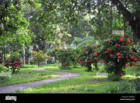 ramna park en dhaka fotografía de stock alamy