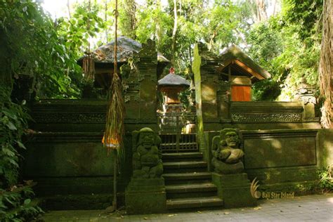 Ubud Monkey Forest Inhabited By Several Groups Of Monkeys