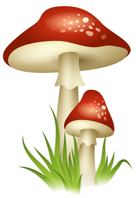 Mushrooms Transparent Png Picture Free Download Dibujo De Setas