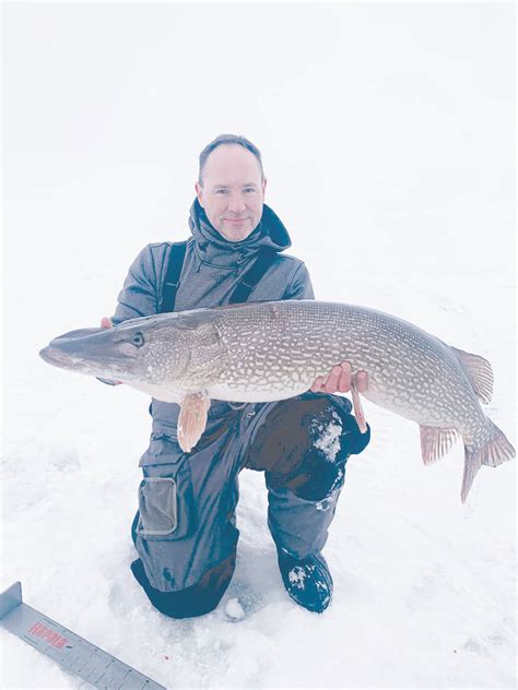 Dnr Certifies State Record Tie For Northern Pike Pope County Tribune