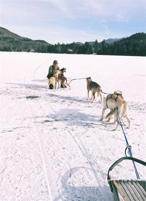 Mushing Through The Snow Where To Go Dog Sledding In Upstate Ny