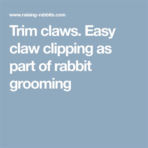 Trim Claws Easy Claw Clipping As Part Of Rabbit Grooming Grooming
