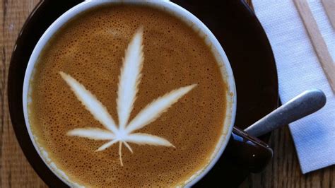 Cbd Coffee 4 Amazing Coffee Cannabis Concoctions