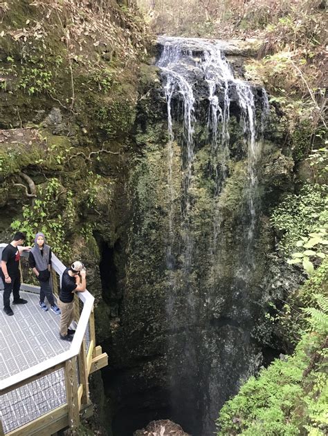 Floridas Largest Waterfall Next Stop Adventures Exploring The