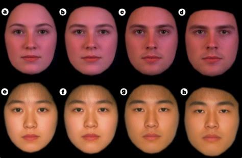 Facial Images Of Caucasian And Japanese Females And Males That Were