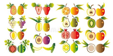 Illustration Of A Set Fruit Stock Illustration Illustration Of